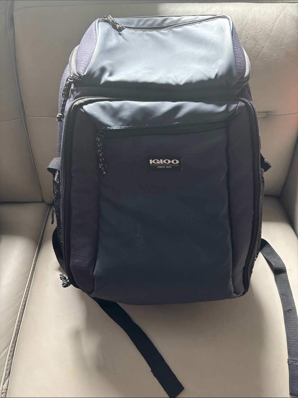 Igloo Men's Dark Blue Insulated Cooler Backpack